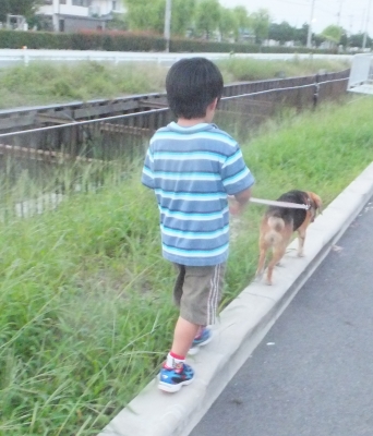 散歩