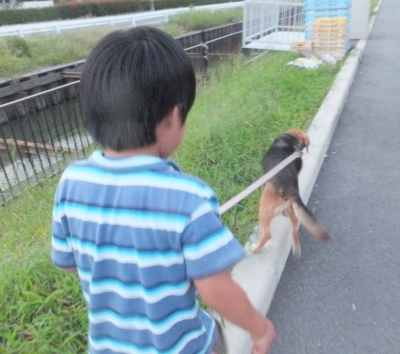 散歩