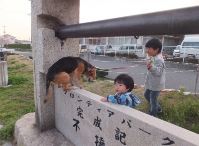 ムスカリ