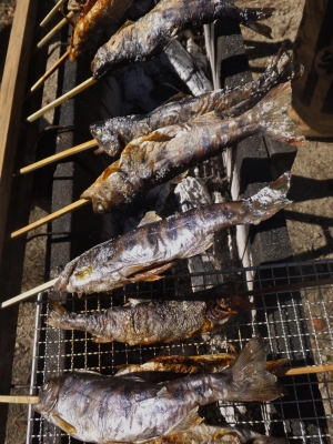 渓谷