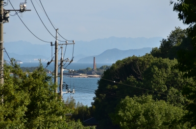 DSC_6373.JPG