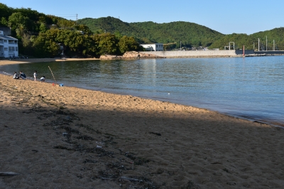 DSC_6382.JPG