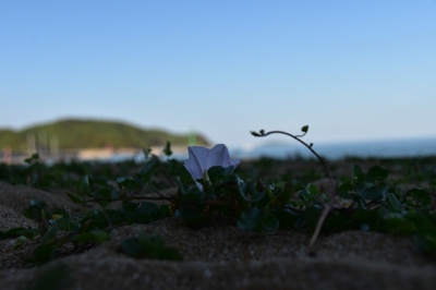 DSC_6401.JPG