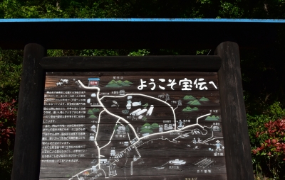 DSC_6376.JPG