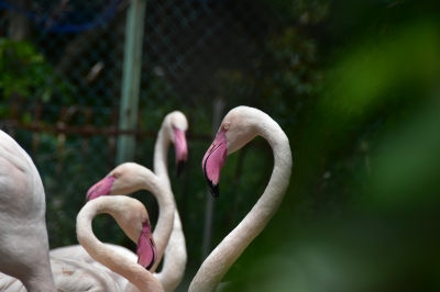 DSC_7277.JPG
