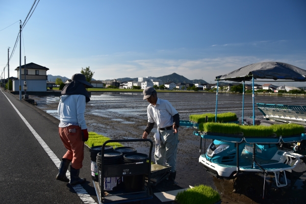 DSC_2384.JPG