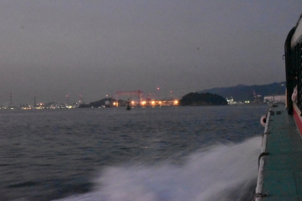 DSC_4539.JPG
