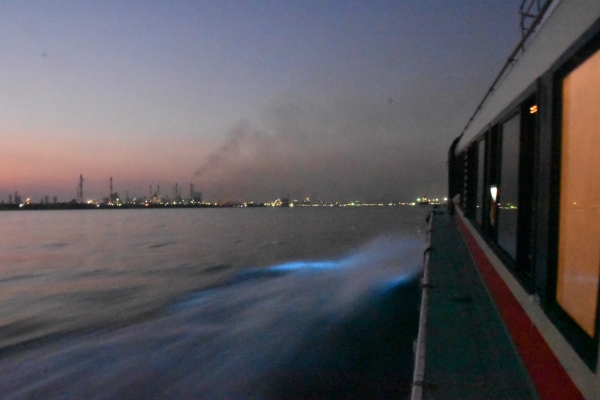 DSC_4609.JPG