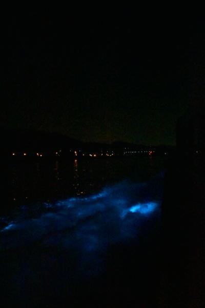 DSC_4926.JPG