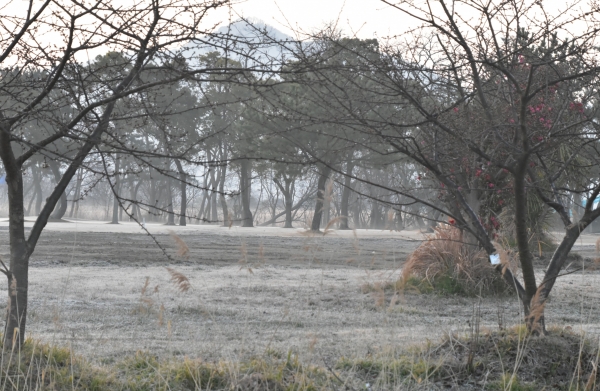 DSC_8072.JPG
