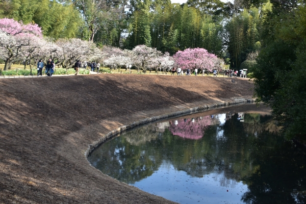 DSC_8663.JPG