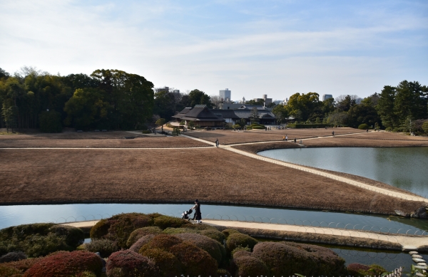 DSC_8683.JPG