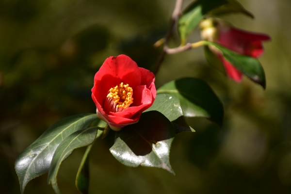 DSC_8617.JPG