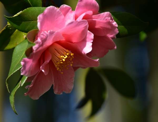 DSC_8649.JPG