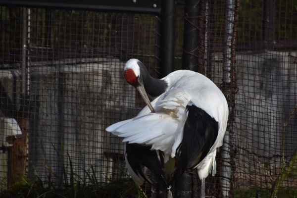 DSC_8709.JPG