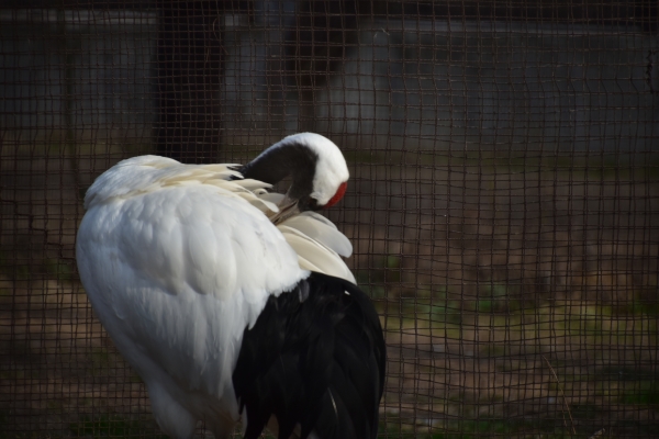 DSC_8722.JPG