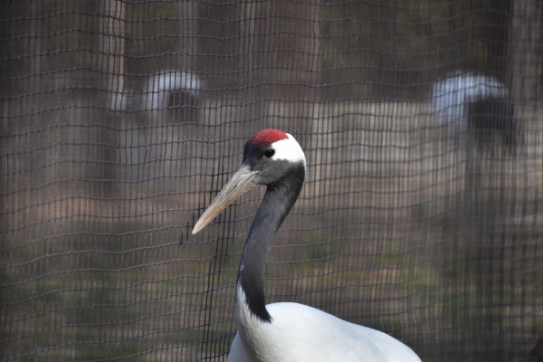 DSC_8731.JPG