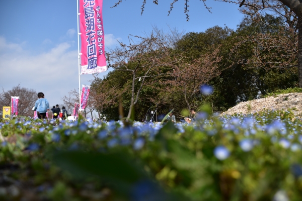 DSC_9145.JPG