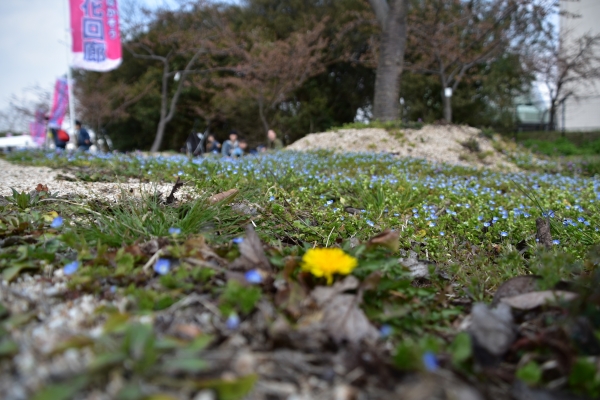 DSC_9144.JPG
