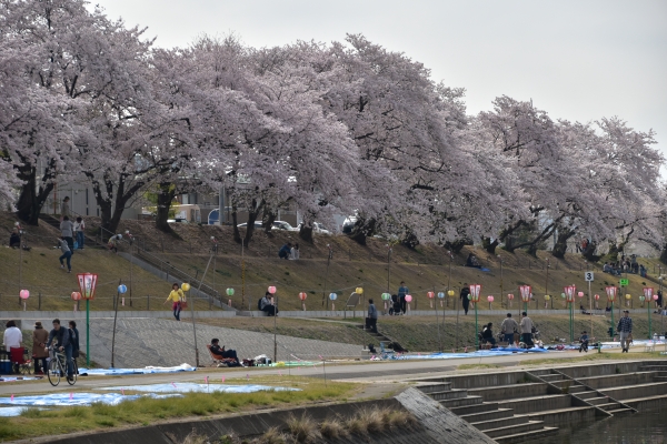DSC_3049.JPG