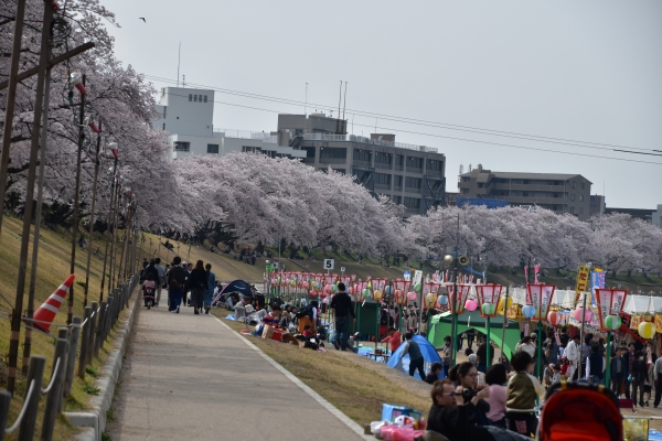 DSC_3154.JPG