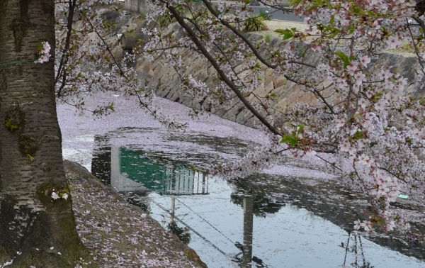 DSC_4031.JPG
