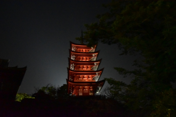 DSC_2456.JPG