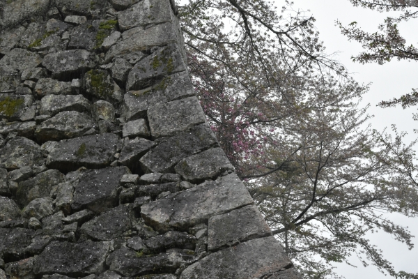 DSC_4777.JPG
