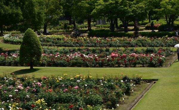 DSC_8895.JPG