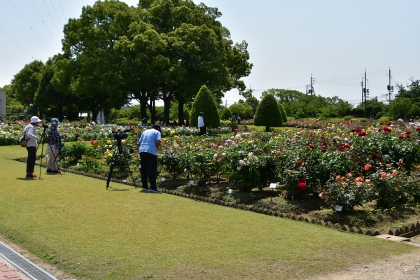 DSC_8900.JPG