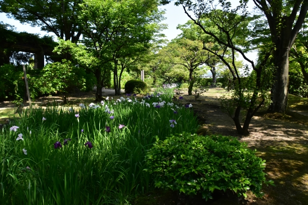 DSC_8910.JPG
