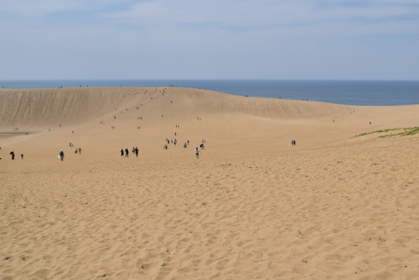 DSC_9166.JPG