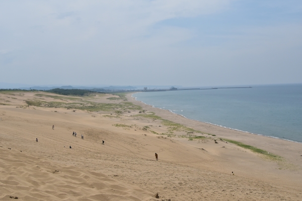 DSC_9241.JPG