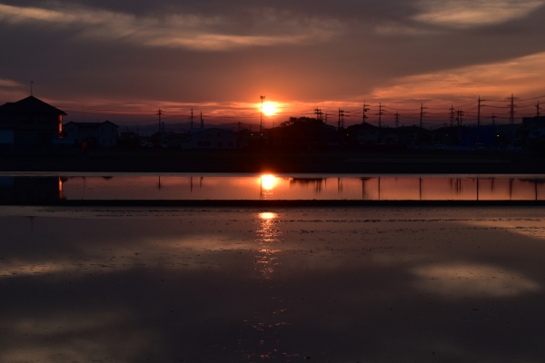 DSC_9523.JPG