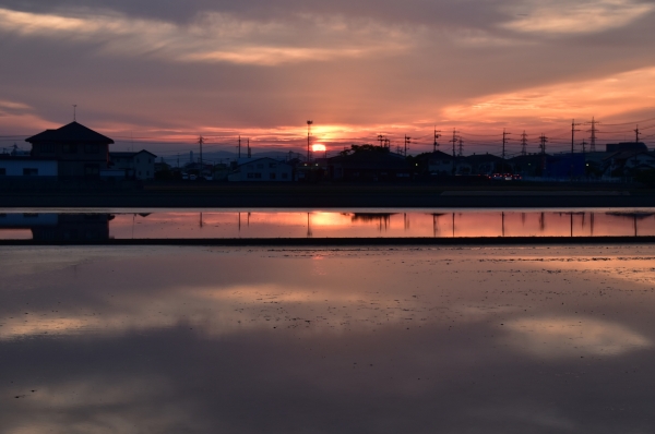 DSC_9540.JPG