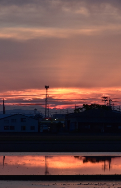 DSC_9557.JPG