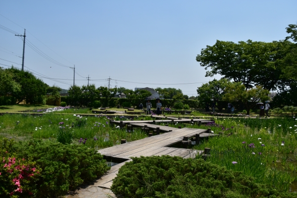 DSC_8981.JPG