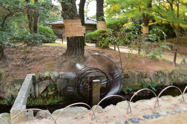 2018-11-23 2018-11-25 飛行場公園 031.JPG