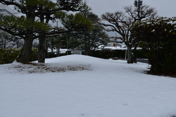 2019-02-11 雪の日の後楽園 046.JPG