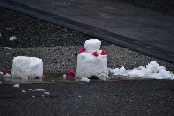 2019-02-11 雪の日の後楽園 150.JPG