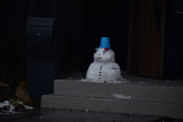 2019-02-11 雪の日の後楽園 151.JPG
