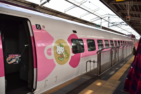 2019-02-16 キィテイ列車 026.JPG