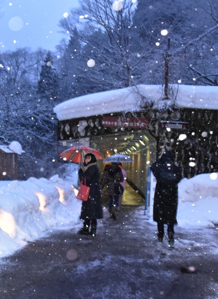 2019-02-16 五箇山 040.JPG