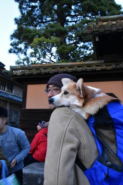 2019-03-09 倉敷宵祭り 601.JPG