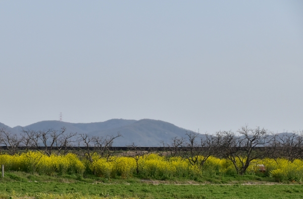 2019-03-27 022.JPG