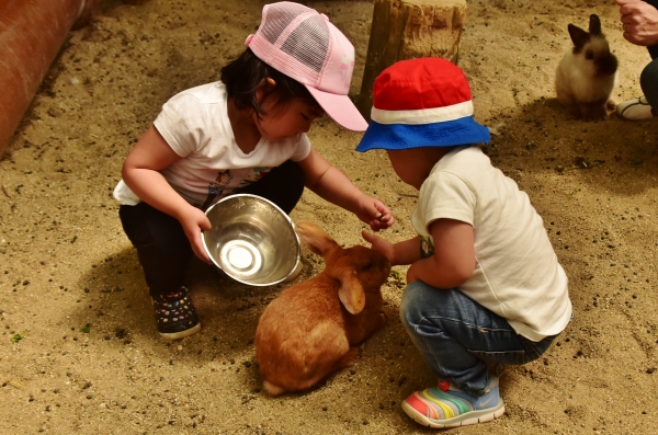 2019-05-04 宇野港、渋川動物公園 424.JPG