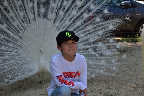 2019-05-04 宇野港、渋川動物公園 441.JPG