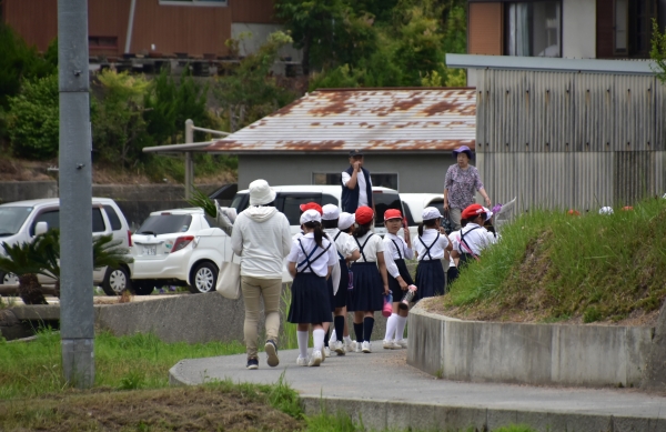 2019-06-14 山田菖蒲園 018.JPG