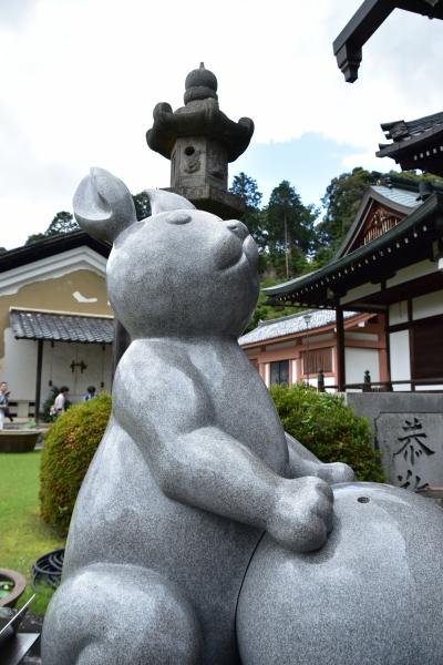 2019-06-16 京都三室戸寺 058.JPG