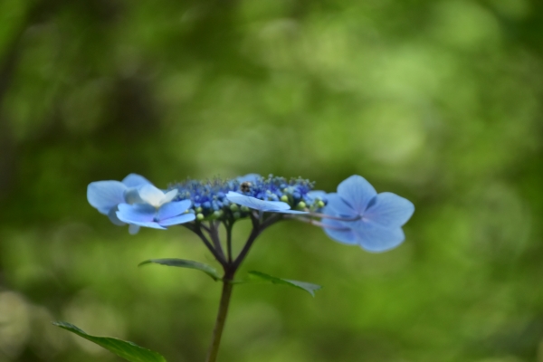 2019-06-29 017.JPG